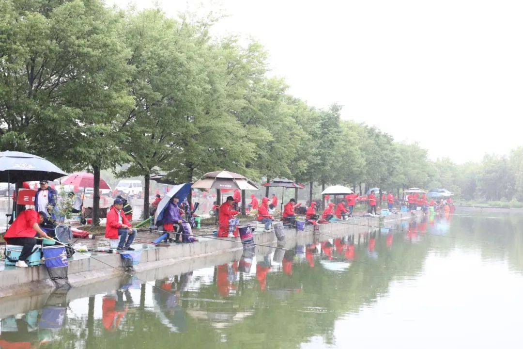 朱巧林夜钓争霸赛视频,第四届和善园杯星钓联赛总决赛