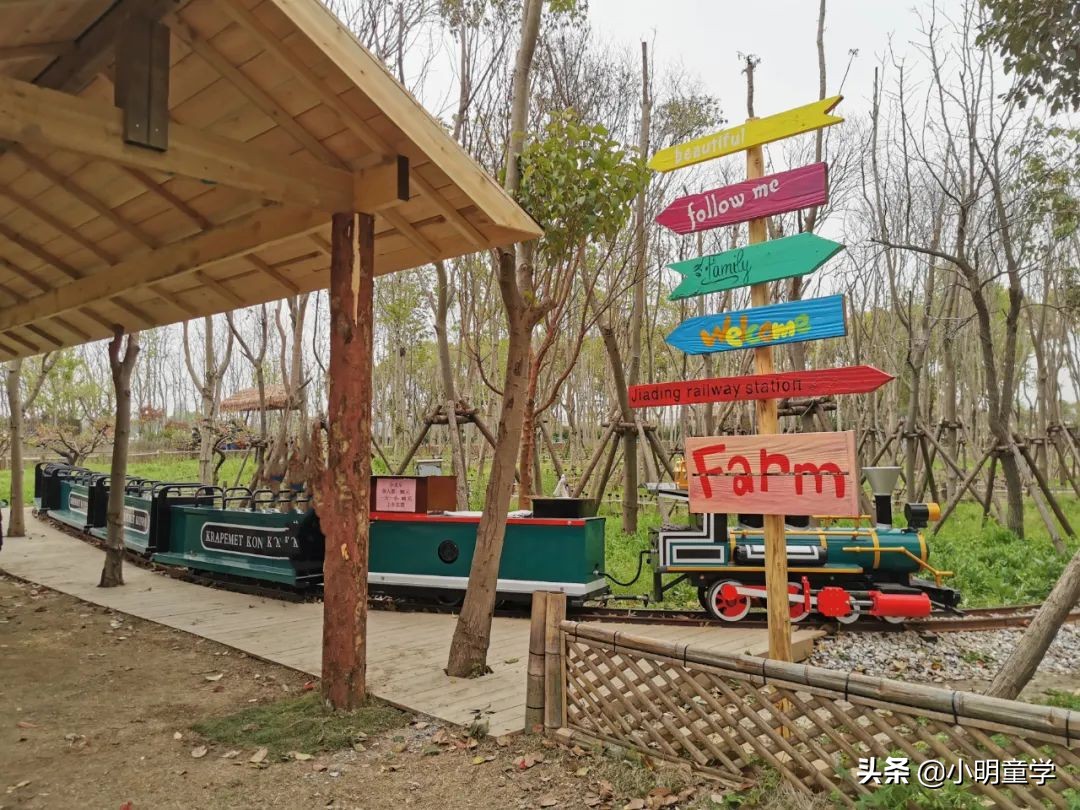 嘉定喜来登酒店,嘉定喜来登旅游攻略