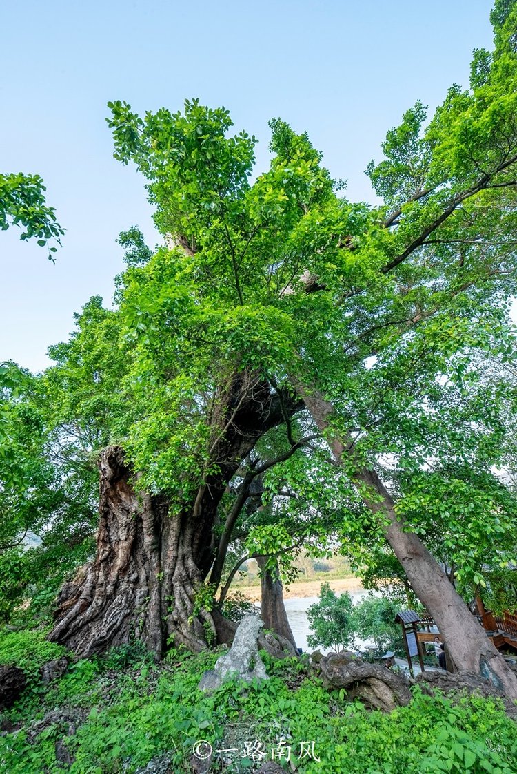 福州永泰，一个低调但很迷人的地方，好玩有故事值得一游