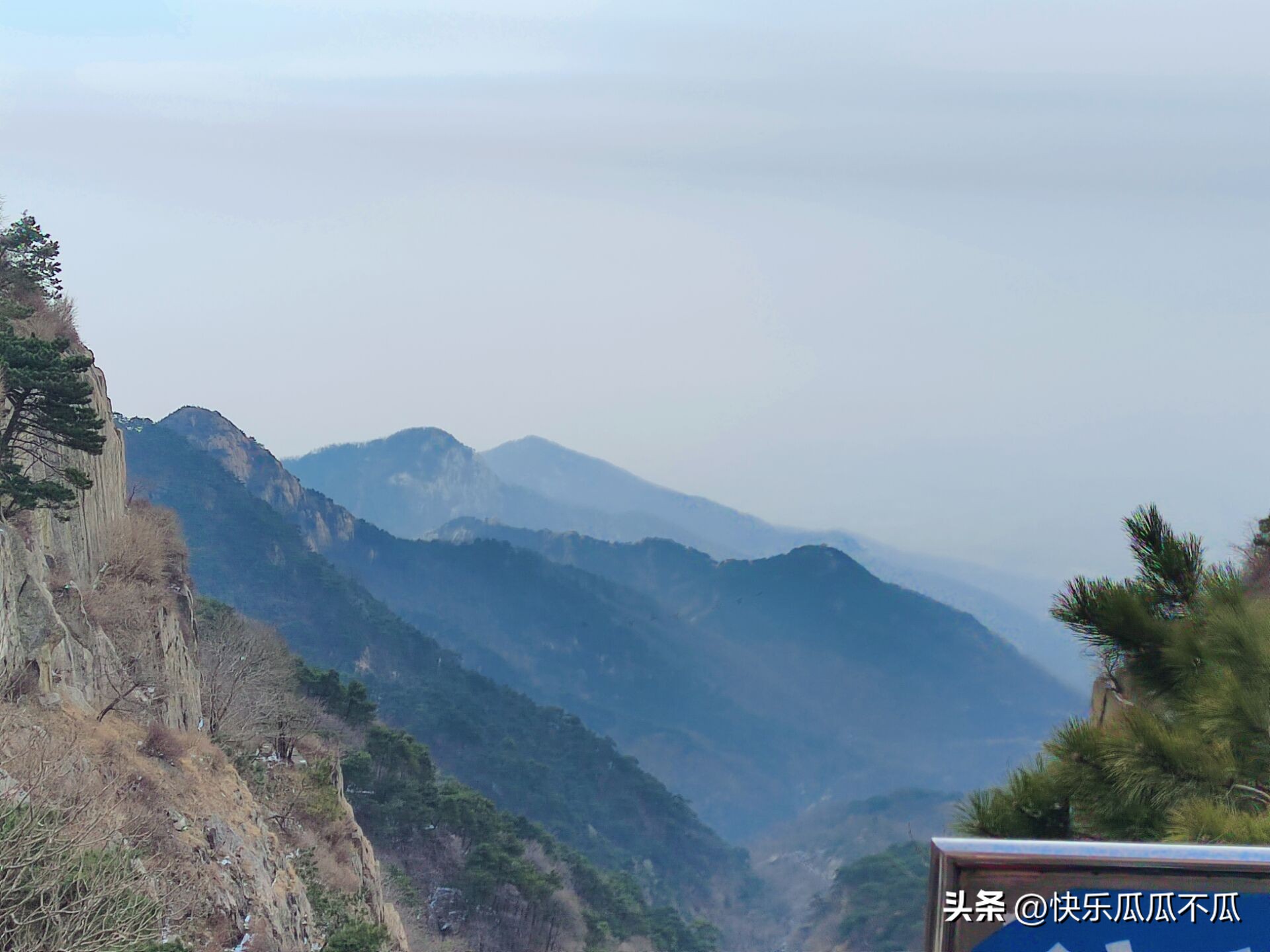 憋尿憋到膀胱很疼怎么办,憋尿憋到肾疼是什么原因