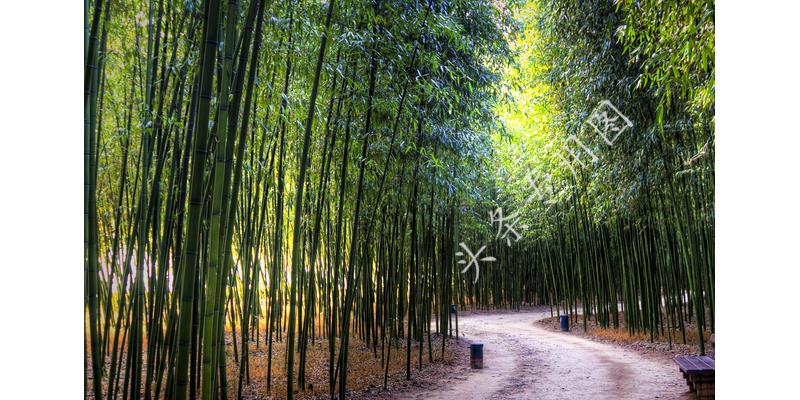 反击婆婆的最好方式,对老公和婆婆最好的报复是什么