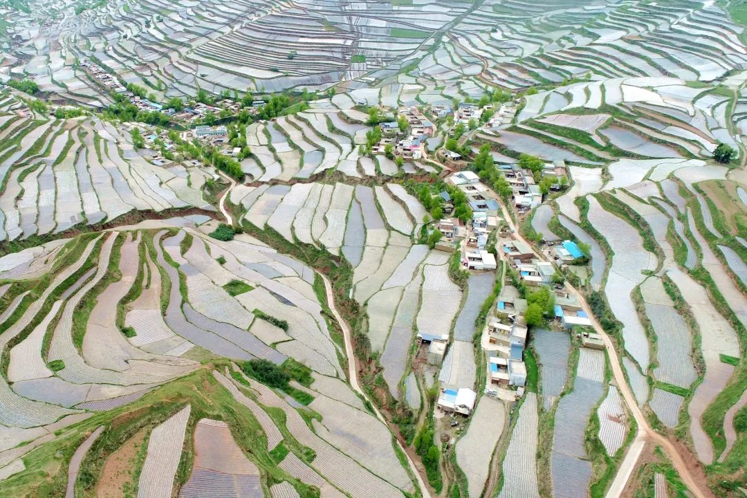 遇见20岁的男孩,遇见20年前的人