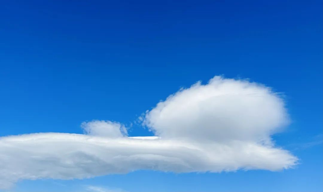 冬季洱海看海鸥最佳地方,这个冬天洱海该有多浪漫