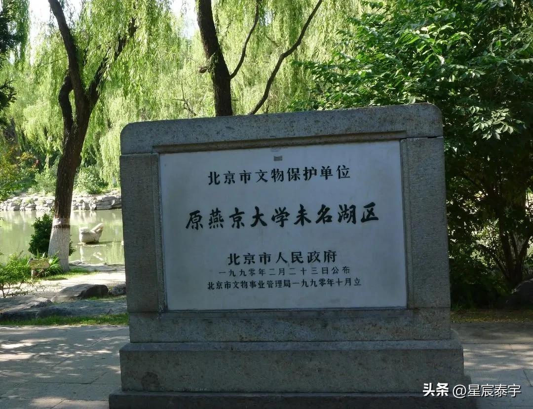 五院四系和985学校哪个有优势,北京大学最牛的学院