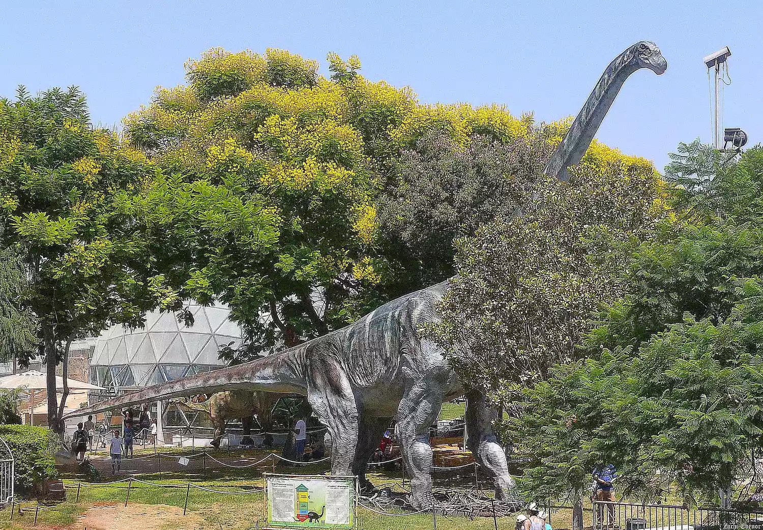 恐龙时代泰坦巨龙与雷龙,泰坦巨龙恐龙化石