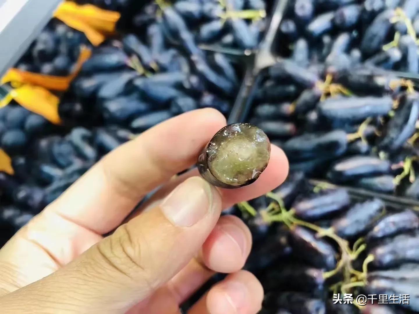 金手指葡萄提子,金手指蓝宝石葡萄无籽提子