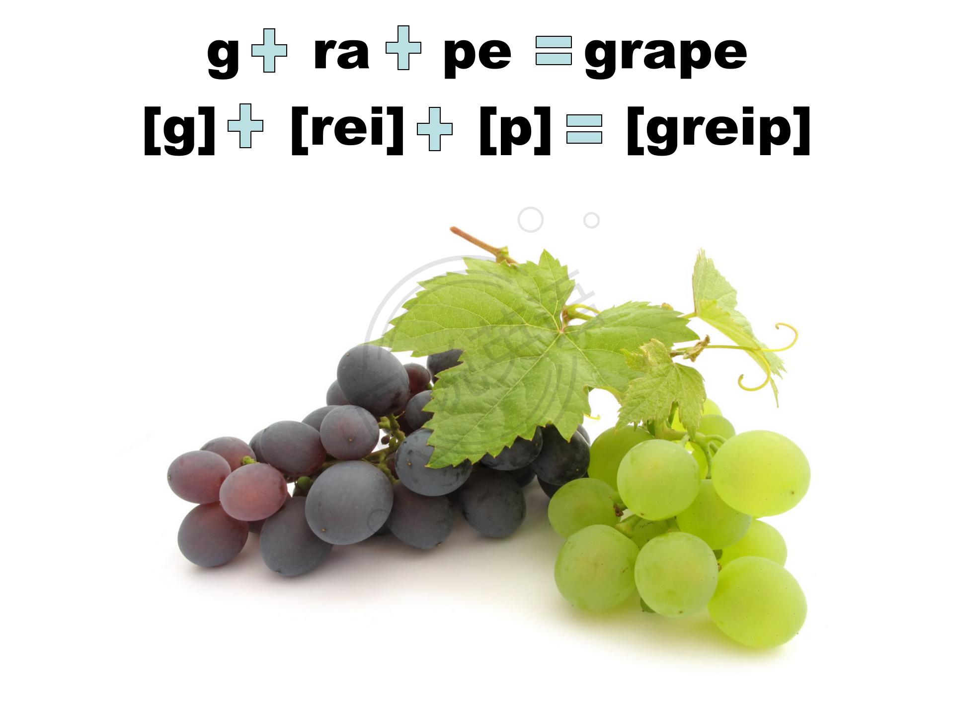 如何快速默写48个国际音标,音标背诵最快的方法