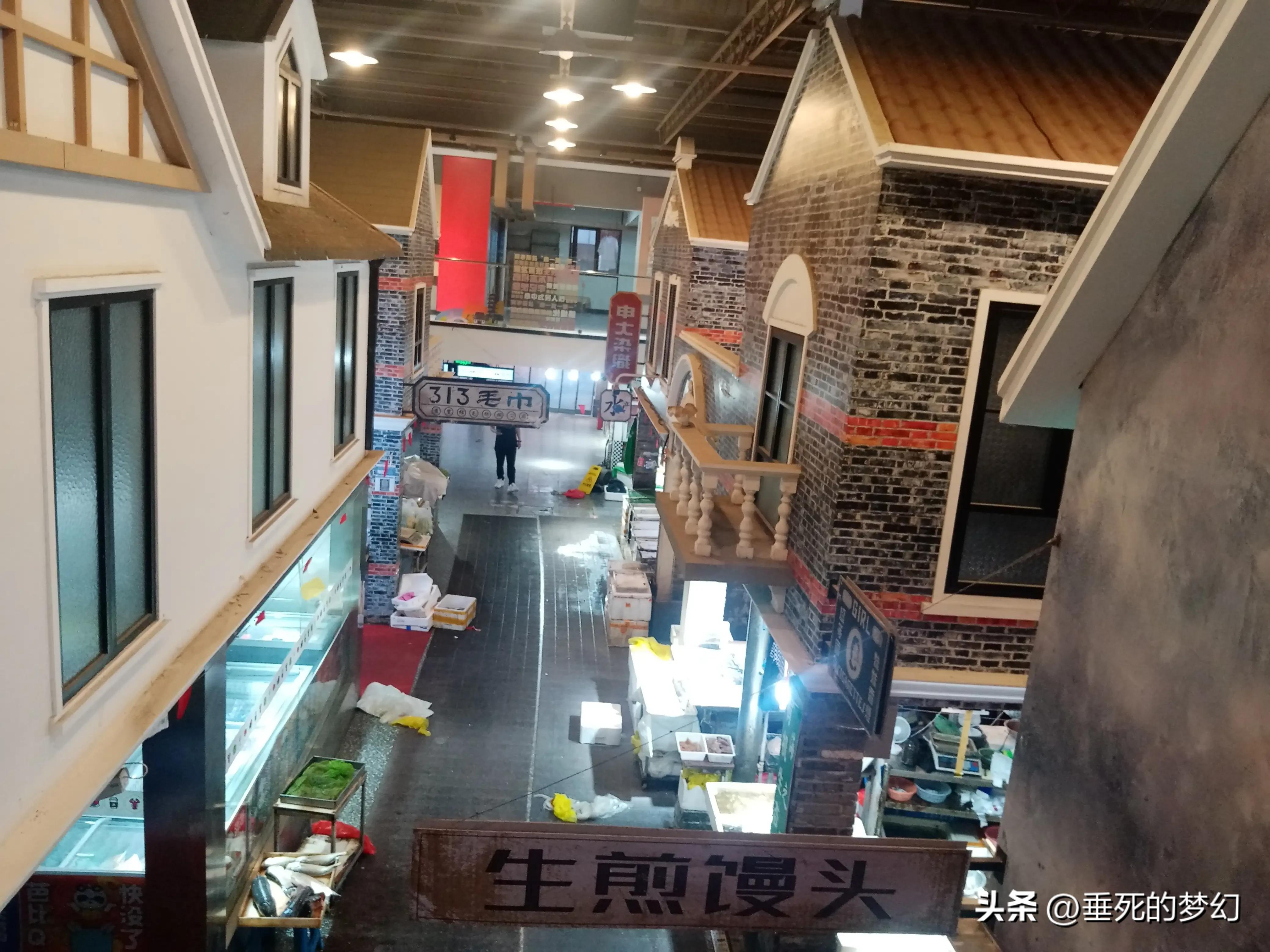 美丽的普陀,美丽普陀同心家园