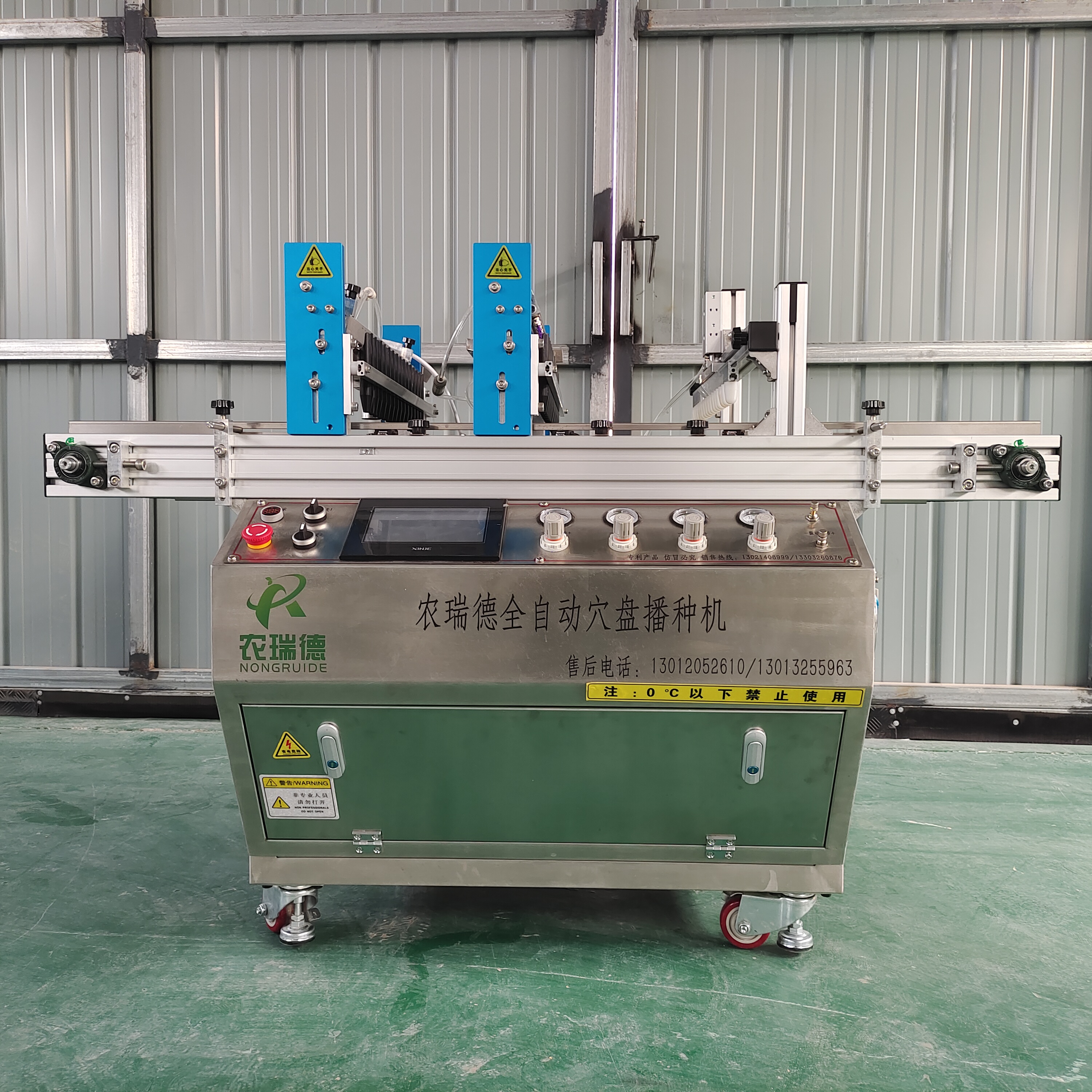 甘蓝工厂化穴盘育苗技术,早春甘蓝大棚穴盘育苗技术