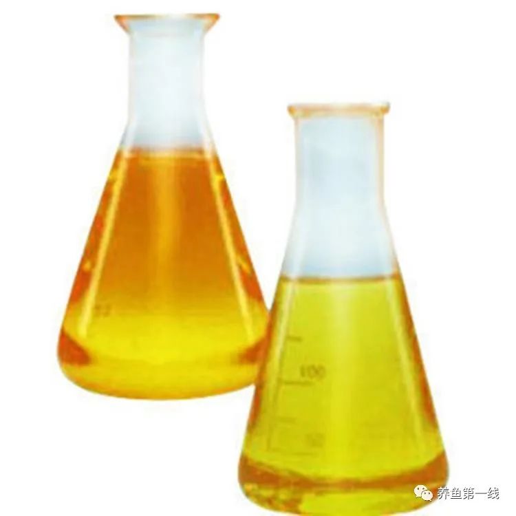 鱼饲料中的主要营养成分,鱼类饲料