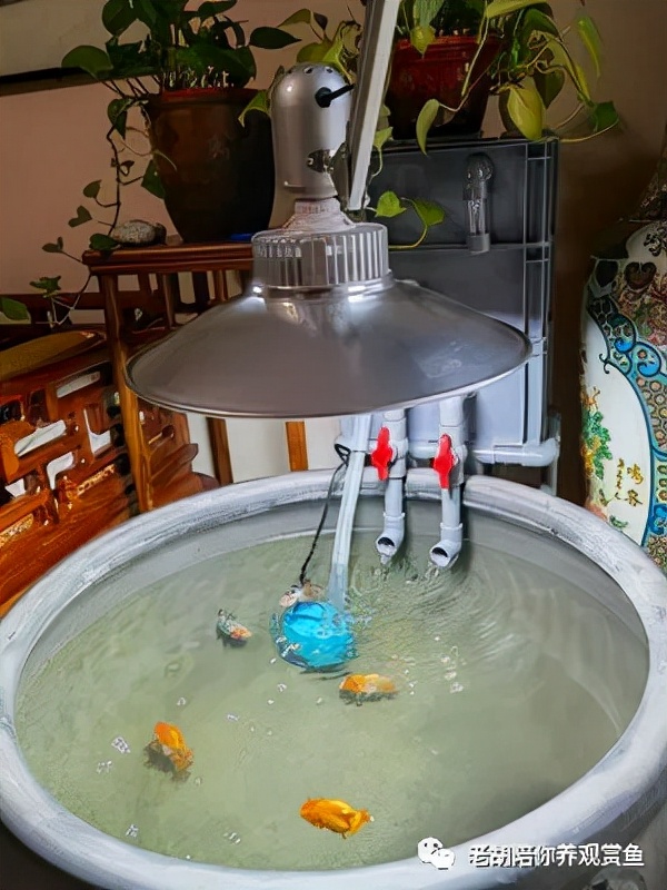 周转箱过滤好不好用,周转箱做过滤教程