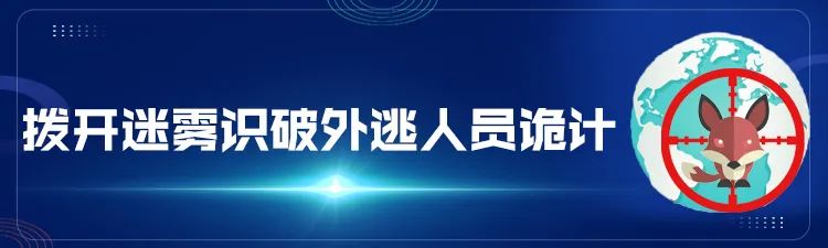 百日行动警方查处,百日行动公安持续破案