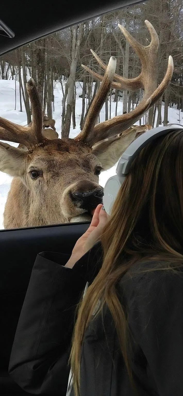 壁纸超清4k幸运壁纸,阴阳师壁纸动态壁纸高清全屏90帧