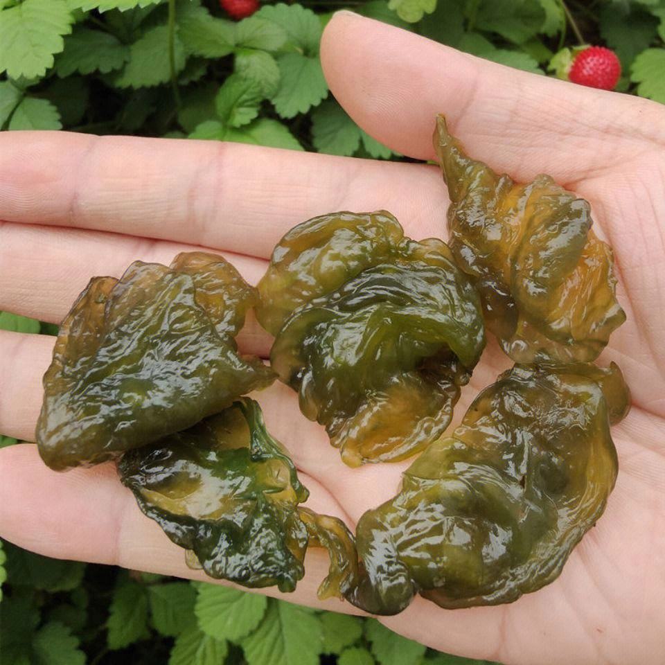 立夏节气,农村6种野味别错过,采摘正当时,有的100多元一斤