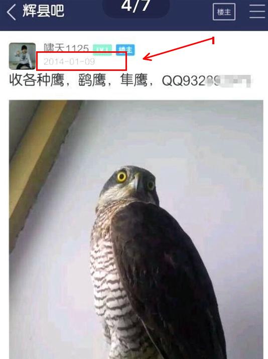 大学生掏鸟窝被判十年半的真相,大学生掏鸟窝被判10年徒刑后续