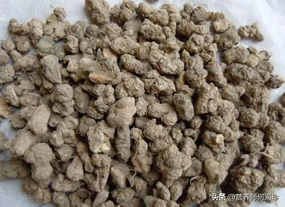 叶子像绿色的蝴蝶,叶子像蝴蝶的寓意