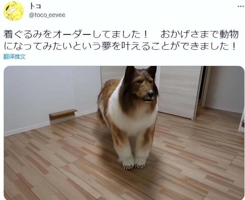 日本男子把自己变成狗对比图,日本一男子厌倦生活花200万变成狗