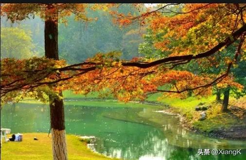 曲高和寡成语的意思是什么,和曲高和寡相似的成语