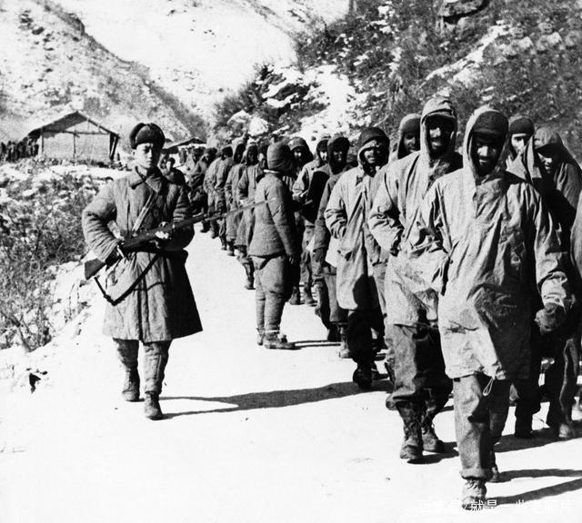 德国军事专家评价中国志愿军,德国军事专家分析志愿军实力