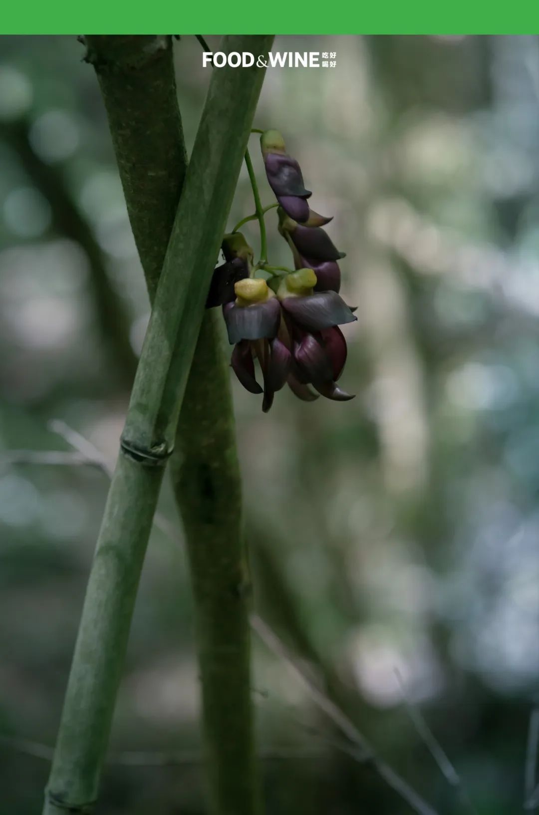 涓囧绂呭鏂嬮キ,鏅痉闀囧搴欏悆鏂嬮キ