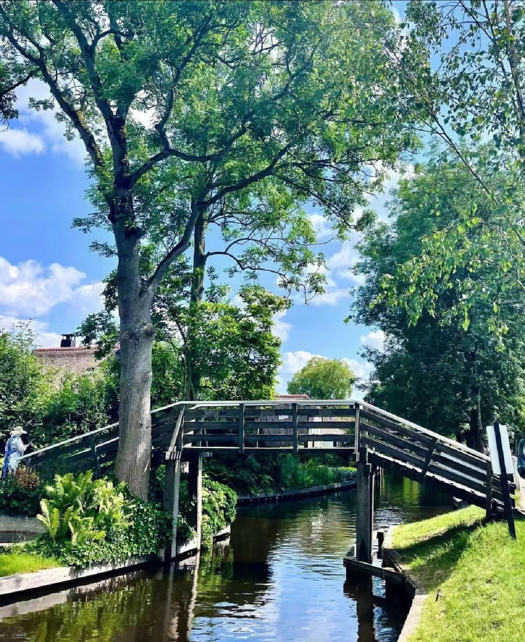 小娅个人资料80后,80后小娅