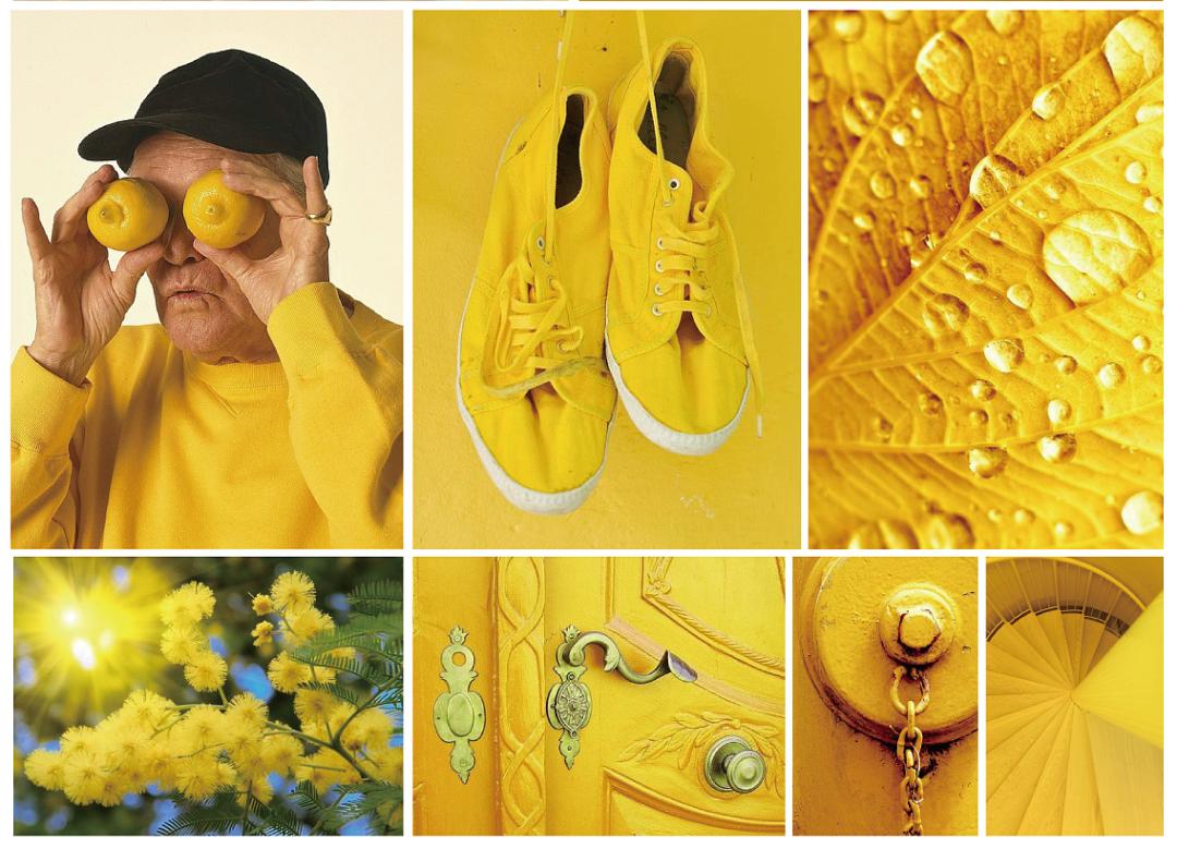 2024pantone年度流行色,pantone最新流行色紫外光