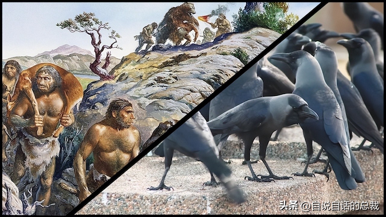 乌鸦为什么是外星人,外星人至今还未出现的5大原因