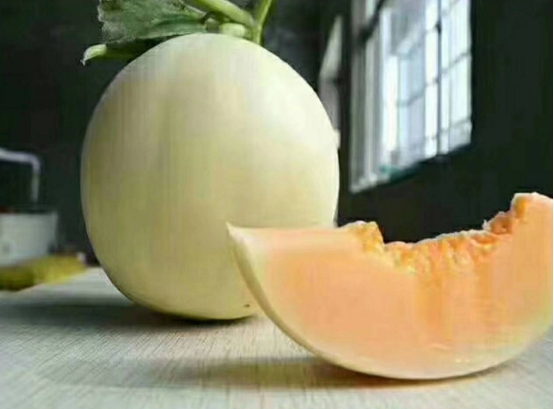 买西瓜甜瓜的正确方法,甜瓜怎么挑选