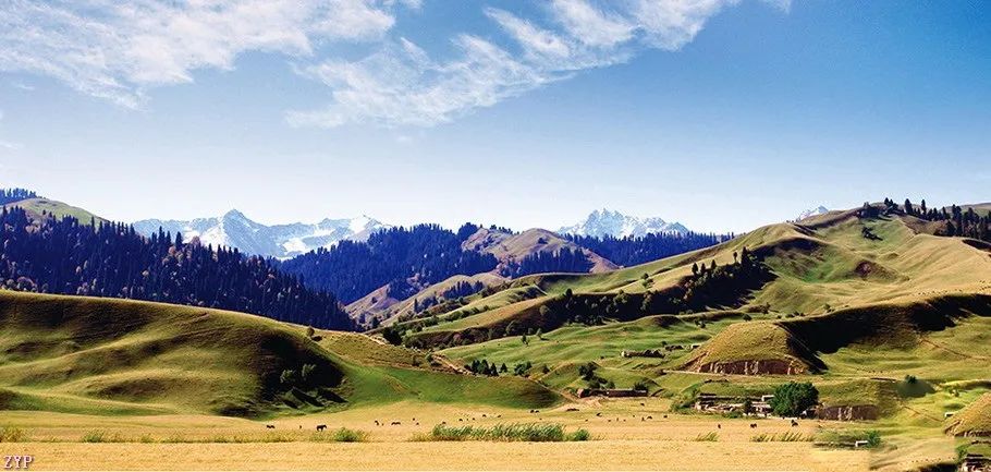 中国人文摄影获奖作品,大美中国摄影作品展获奖