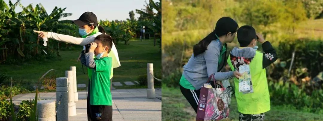 麻涌国庆游玩好去处,麻涌周末去哪玩