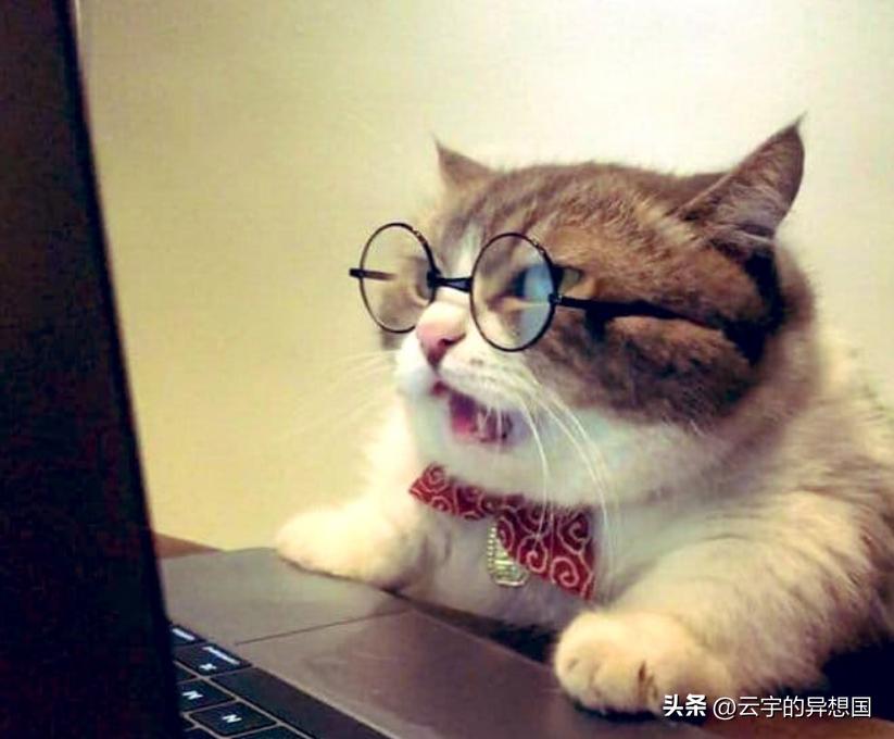 微信聊天三句话暴露你的层次,微信高情商聊天怎么才算老实