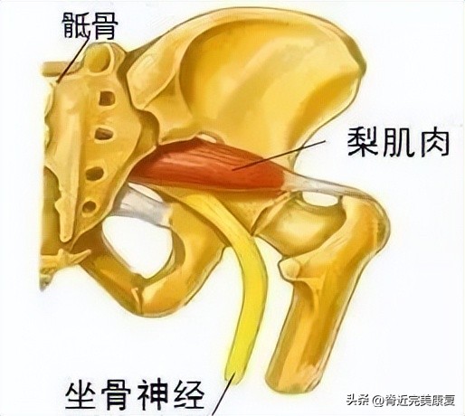 盆底功能障碍性疾病怎么治疗,盆底功能障碍治疗多少钱
