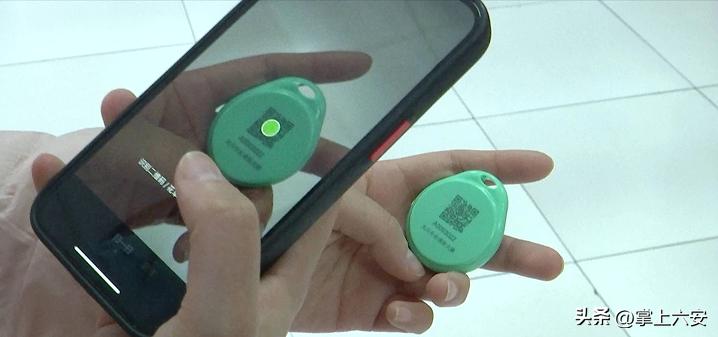 上海养狗有必要上牌吗,台州养狗上牌登记点