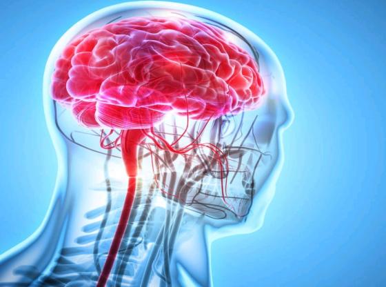 糖尿病神经病变吃甲钴胺能治好吗,糖尿病神经病变吃甲钴胺和什么药