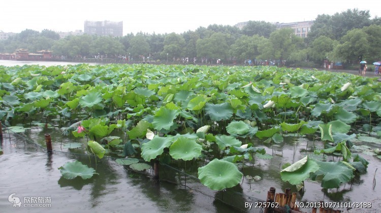 到华东五市旅游要多少钱,华东五市旅游预算