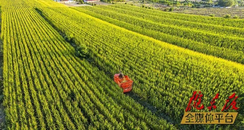 庆阳市双轮驱动三化并进,庆阳双轮驱动三化并举