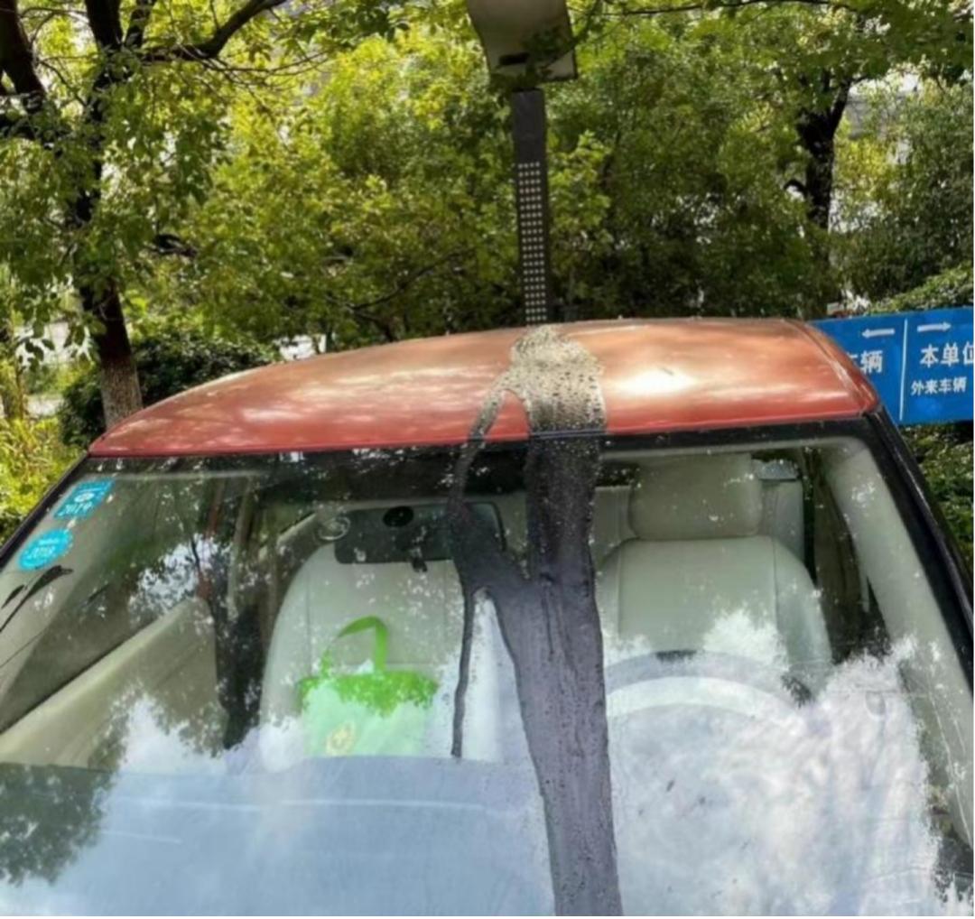 女子因为变美引发了一系列的不幸,女子整容失败维权反被打