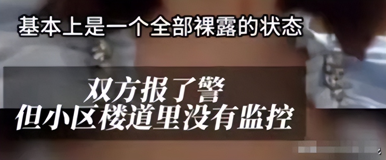 女子电梯内被大型犬咬死,女子在电梯内被自家狗撕咬