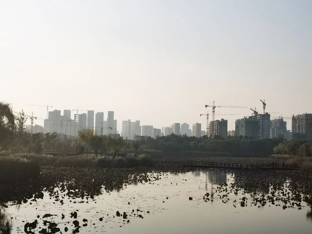 潍坊口碑好的房企,潍坊十佳房企排名