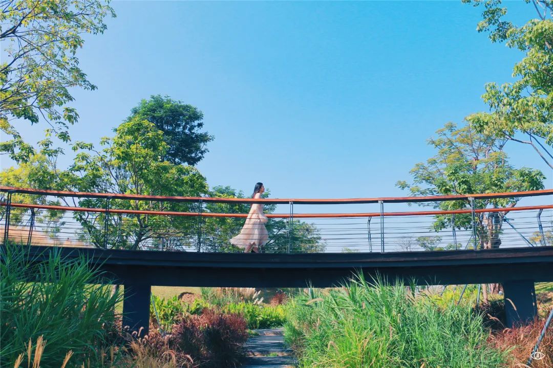 深圳超美公园,深圳好风景公园