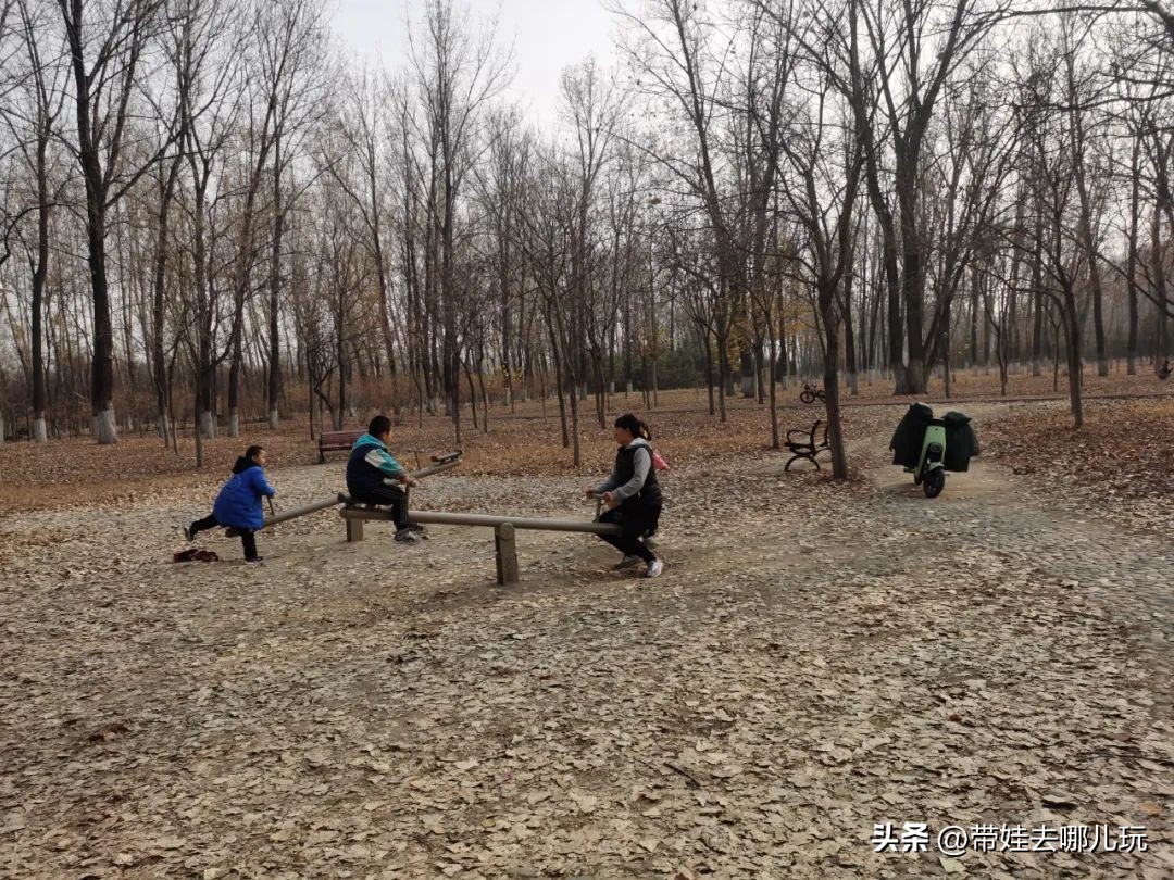 在森林公园里玩耍,中国可以骑行的森林公园