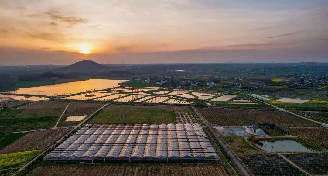 黑莓小镇在哪里,黑莓小镇