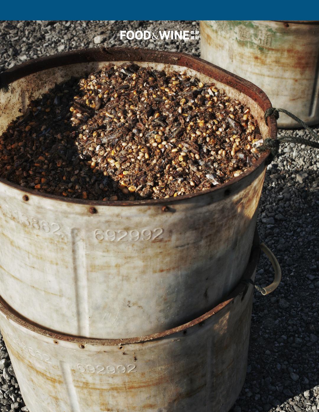 高邮湖螃蟹和洪泽湖螃蟹,阳澄湖高邮湖螃蟹哪个好