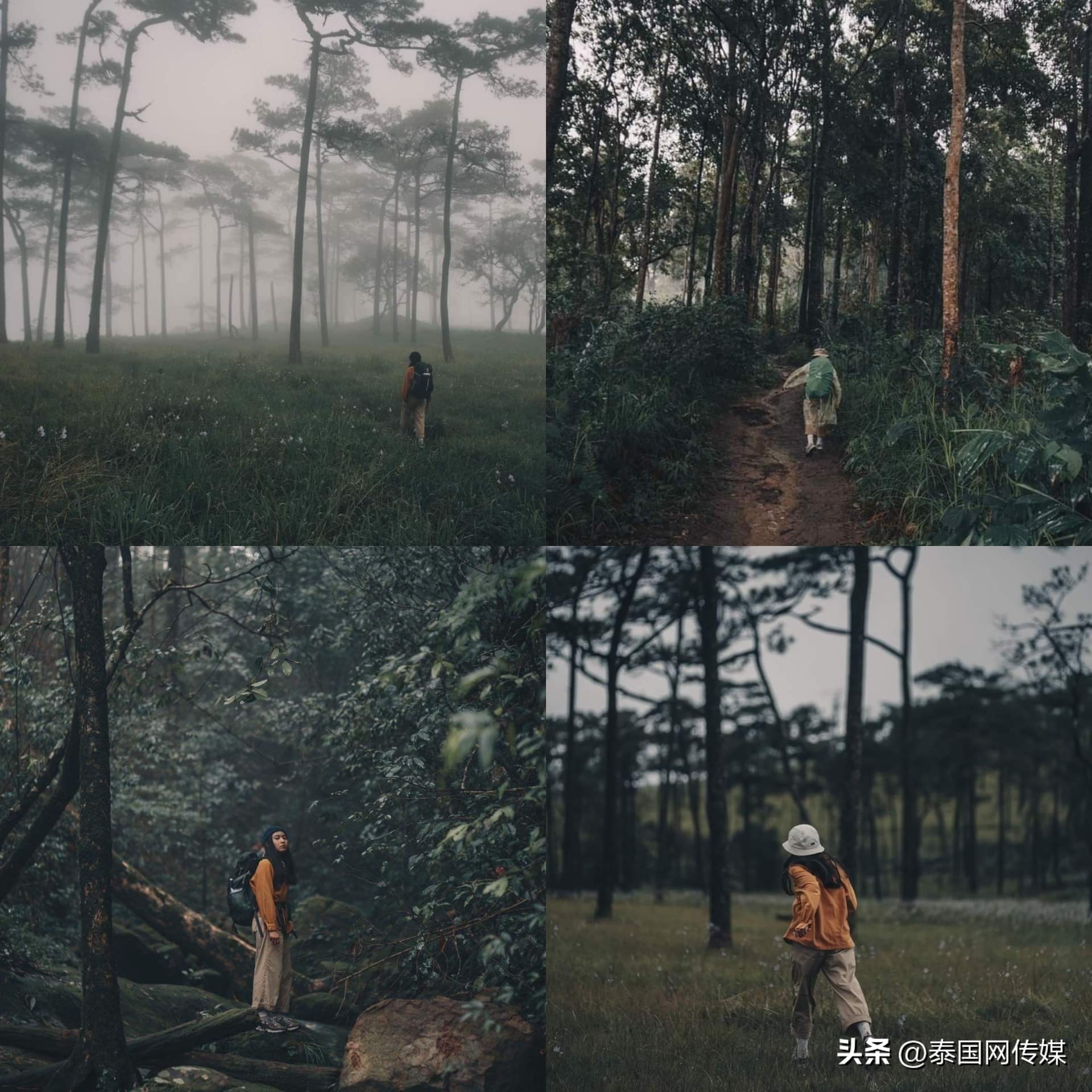 泰国旅游攻略泰国必打卡景点,泰国旅游风景区美景图片