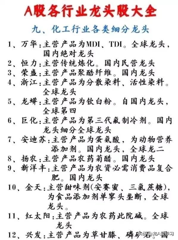 最新行业龙头股票一览表,最新行业龙头股附表