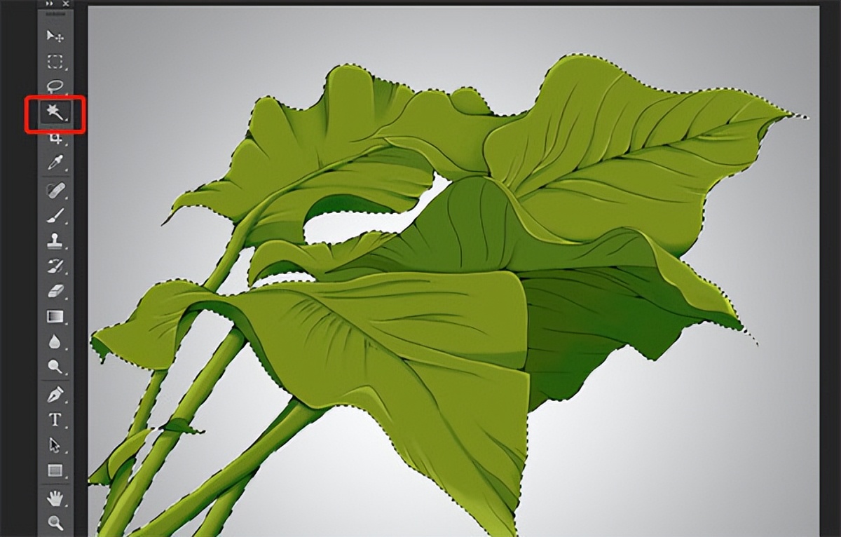 ps2022免费版安装包下载,ps2022下载安装包永久免费版