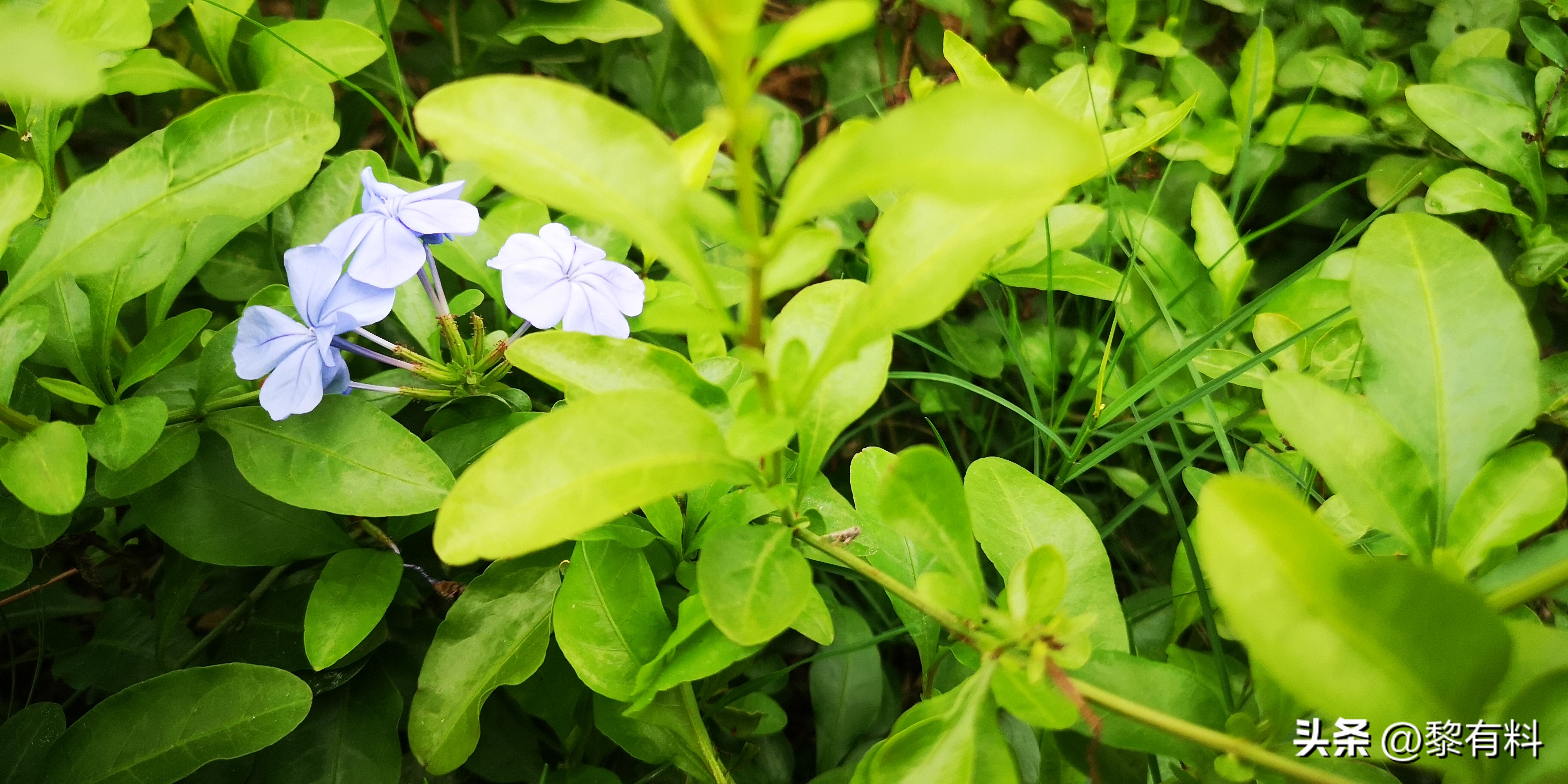 2个案例3点启示,它当然比金钱更可贵!