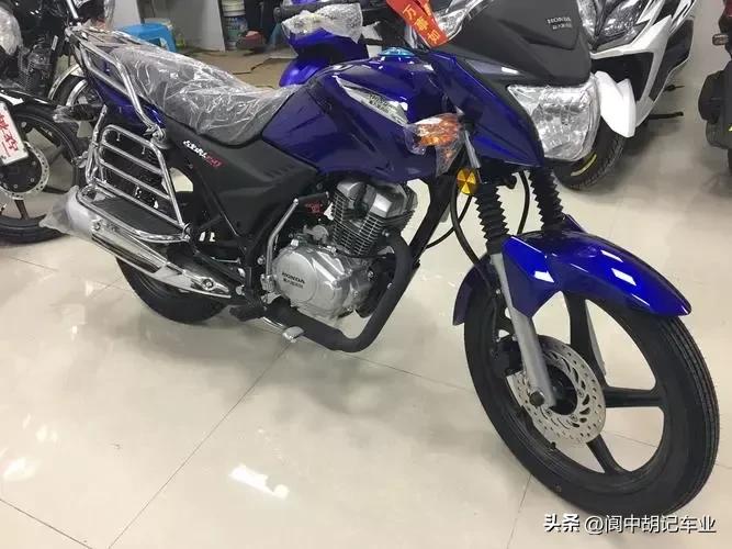 本田骑士车,本田猎装版旅行车