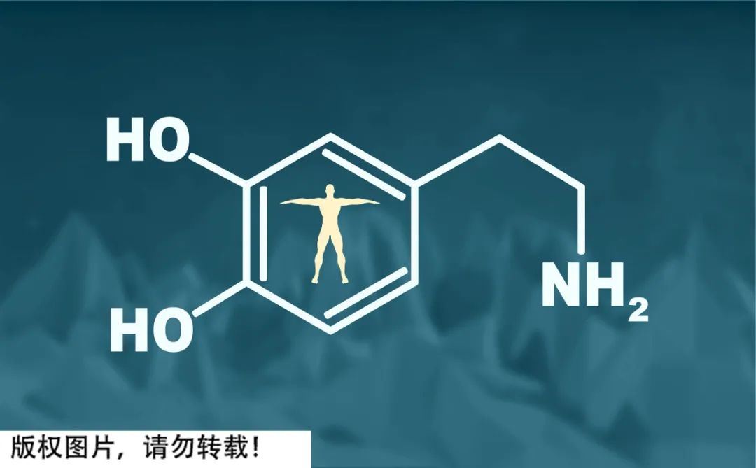 *袜丝**最初竟是为男性设计的！为什么充满诱惑？正经的科普来了