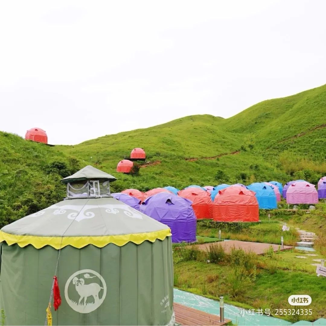 闽山闽水物华新,闽山闽水物华新在师生中引热议